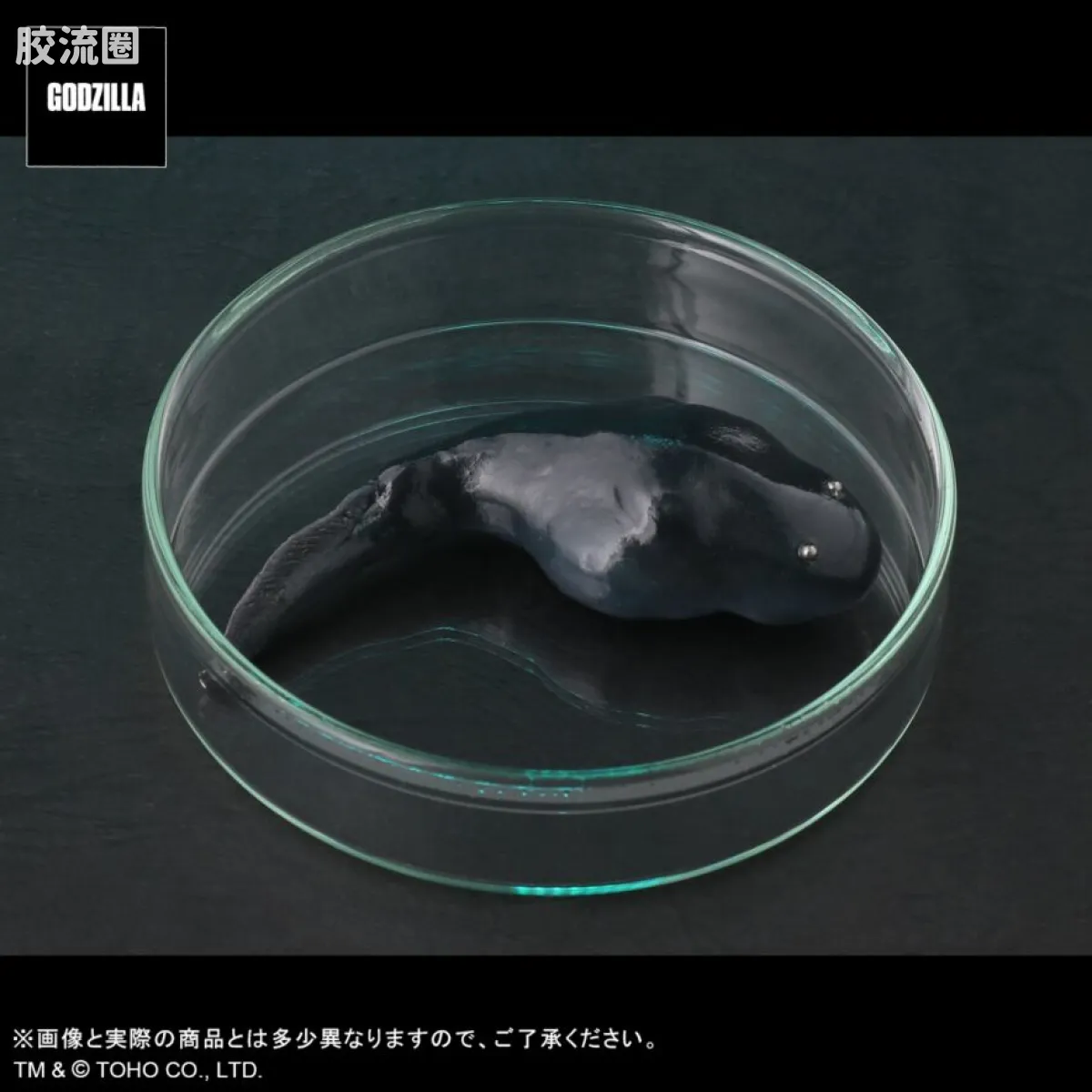 FAVORITE SCULPTORS LINE 综合系列 黑多拉（飞行期）少年RIC限定 特别套装 - 图片